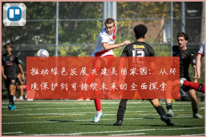 推动绿色发展共建美丽家园：从环境保护到可持续未来的全面探索