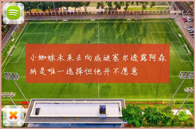 小蜘蛛未来去向成谜塞尔透露阿森纳是唯一选择但他并不愿意