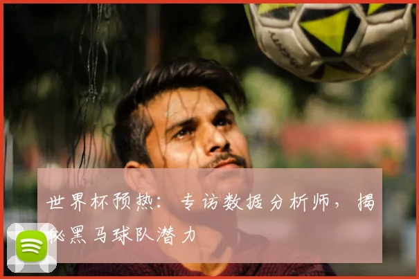 世界杯预热：专访数据分析师，揭秘黑马球队潜力