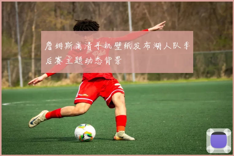 詹姆斯高清手机壁纸发布湖人队季后赛主题动态背景