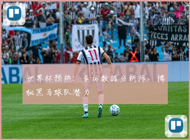 世界杯预热:专访数据分析师,揭秘黑马球队潜力