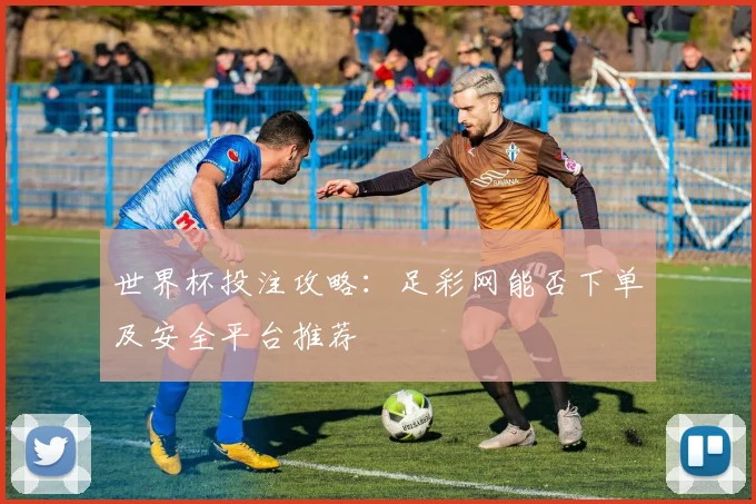 世界杯投注攻略：足彩网能否下单及安全平台推荐