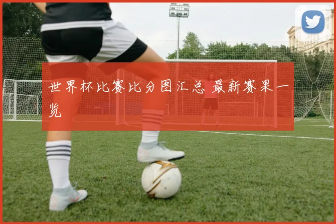 世界杯比赛比分图汇总 最新赛果一览