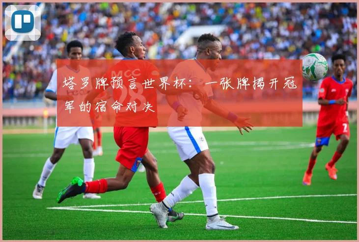 塔罗牌预言世界杯:一张牌揭开冠军的宿命对决