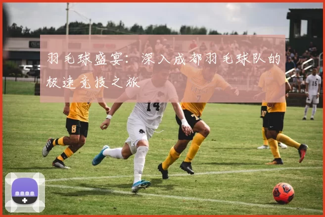 羽毛球盛宴：深入成都羽毛球队的极速竞技之旅