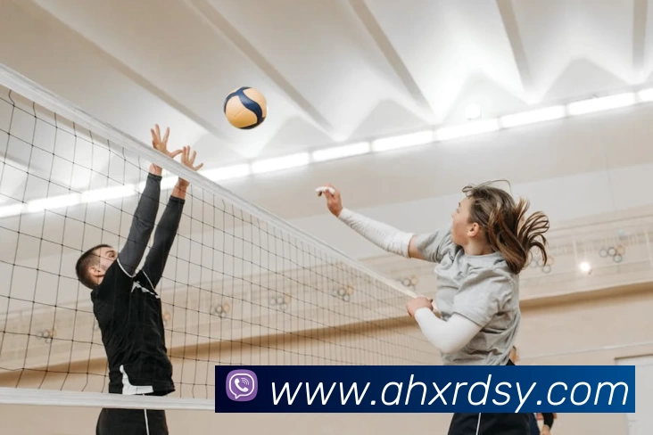 华体会体育APP 封面图